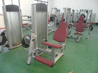 ST-4016 Machine d'extension des jambes et des quadriceps en acier durable pour salle de sport