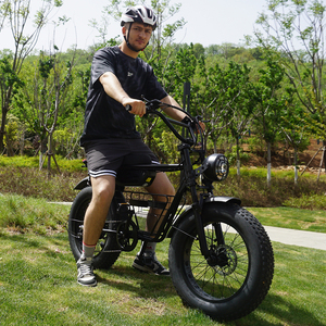 <span class=keywords><strong>Bicicleta</strong></span> Eléctrica de Montaña 48V 15Ah con Motor de 250W/1000W, Precio de Fábrica para el Mercado Australiano, <span class=keywords><strong>Bicicleta</strong></span> Eléctrica <span class=keywords><strong>Híbrida</strong></span> con Llantas Anchas - Product Image 5
