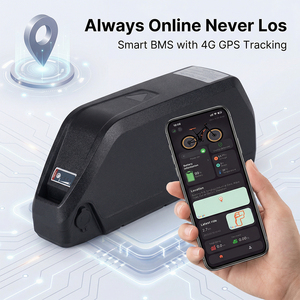 อุปกรณ์ติดตาม GPS ลิเธียมไอออน48โวลต์30Ah แบตเตอรี่สกู๊ตเตอร์ยางอ้วน1800วัตต์ - Product Image 1