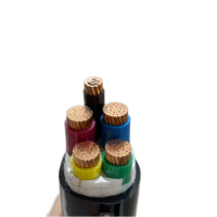 Cable de Alimentación YJV22 0.6/1kV con Aislamiento XLPE, Armadura de Cinta de Acero y Revestimiento de PVC