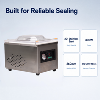 Machine d'emballage sous vide DZ-260 avec barre de scellage de 260 mm, chambre de 300 W, 220 V, scelleuse électrique de table, machine de scellage technique