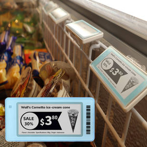 Etiqueta de Precio Digital para Helados de Supermercado, Etiqueta Electrónica ESL de Baja Temperatura para Ambientes Congelados - Product Image 1