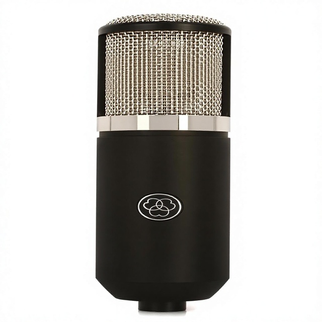 AKG Pro Audio P820 TUBE Condenser Microphone with XLR Connector for Podcast Use