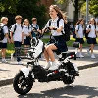 Nouveau Vélo Électrique Urbain 14 Pouces à Vendre, Moteur Électrique Sans Balais 350W 48V, Charge Utile 200kg, 2 Places, Phare LED