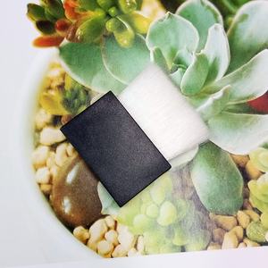 Rich sky — petite brosse compacte et carrée noire, Blush, marque privée, nouvelle collection - Product Image 5