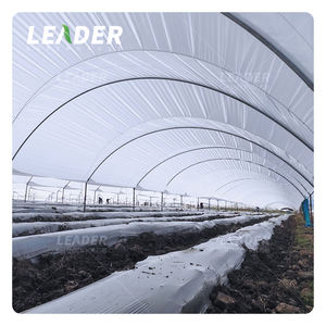 Serre agricole de 1 ha, 9 m, en <span class=keywords><strong>film</strong></span> plastique, tunnel de culture de myrtilles, avec cadre galvanisé pour les baies - Product Image 3