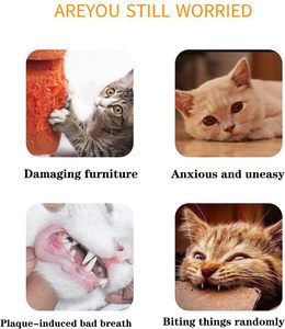 ของเล่นแมวแคทนิปรูปการ์ตูนคลาสสิกจาก Caterpillar ผลิตจากวัสดุรักษ์โลก ใช้งานได้หลากหลาย ช่วยลดความเบื่อหน่าย - Product Image 2