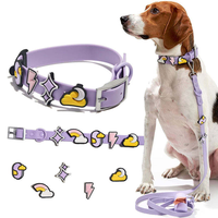 Ensemble de colliers pour animaux de compagnie en silicone imperméable, laisse réglable pour chien et chat, ensemble d'accessoires avec breloques, couleur et taille personnalisées
