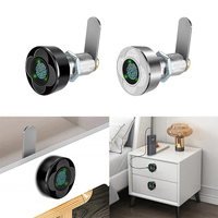 Serrure intelligente à empreintes digitales pour tiroir, boîte aux lettres, mini serrure intelligente sans clé en alliage de zinc anti-effraction pour armoire de bureau