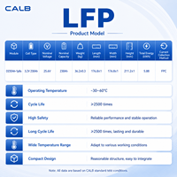 Module CALB D230AH-1P8S 25,6V 230Ah LiFePO4 5,88 kWh, série connectable aux systèmes de traction 51,2V 102,4V 300V