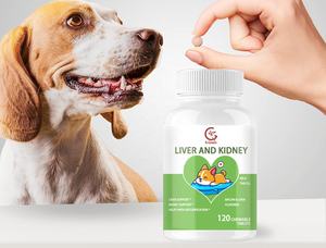 Cardo mariano para <span class=keywords><strong>perros</strong></span> 120 Tabletas masticables Soporte hepático y <span class=keywords><strong>renal</strong></span> para <span class=keywords><strong>perros</strong></span> Soporte hepático con desintoxicación de EPA y DHA para <span class=keywords><strong>perros</strong></span> - Product Image 2