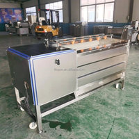 Hoge kwaliteit aardappel- en taro-was- en schilmachine, multifunctionele borstelrol fruit- en groentewasser en -schiller