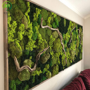 Lumut alami dinding seni bingkai buatan tanaman disesuaikan lumut buatan rumput dinding untuk kantor belanja Mall dekorasi toko - Product Image 2