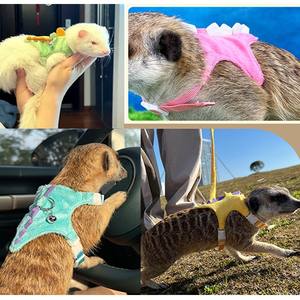 調節可能な高級フェレットウサギハーネス小動物フェレット豚ハリネズミ屋外ウォーキングリーシュセットかわいい装飾 - Product Image 5
