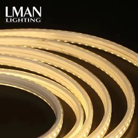 Ruban LED PVC Haute Tension AC110V/230V/260V 50m Longue Portée IP65 Sécable Éclairage Extérieur de Façade de Bâtiment CE RoHS