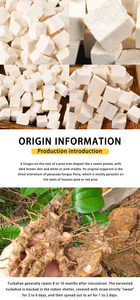 中国の伝統的な漢方薬Poria Cocos Fu Ling - Product Image 3