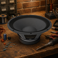 Subwoofer 12 pouces 1200W 12SW65, vente flash, meilleure qualité, haut-parleur audio professionnel