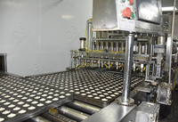Automatique Mini Oeuf Éponge Gâteau Tasse Faisant La Machine à Gâteau Ligne de Production