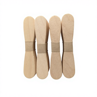 Bâtonnets de crème glacée jetables écologiques en bois de bouleau avec logo, bâtonnets de sucettes glacées portables faits maison, cuillère à crème glacée de qualité supérieure, emballage inclus