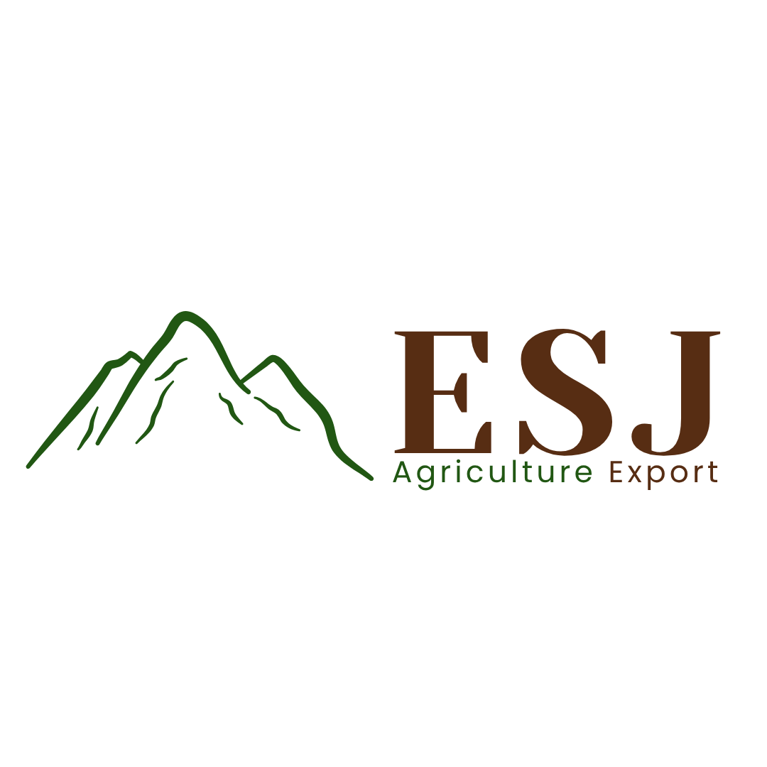 PT ENREKANG SEMEMEO JAYA logo