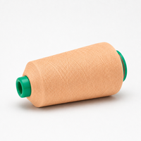 Fil teint 100 % nylon DTY haute ténacité anti-boulochage pour tricot à la main, couture et tissage