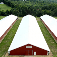 Structure en acier haute résistance, isolée thermiquement, résistante au vent et aux tremblements de terre, poulailler moderne préfabriqué