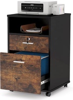 Classeur mobile de support d'imprimante moderne de roues de roulement avec la serrure et le classeur en bois de taille de lettre de 2 tiroirs pour le bureau à domicile