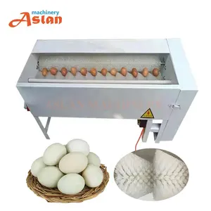 Machine à laver électrique automatique, CE, pour la ligne de traitement des œufs