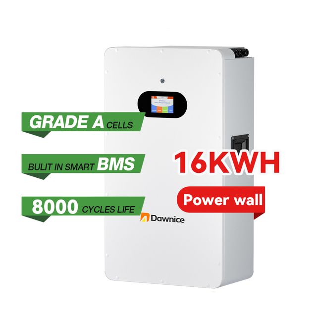 Power Wall Mounted Lithium Ion Battery 51.2V 100-300Ah Lifepo4 Hybrid Grid Grade BMS Home Storage System IP54 5-20kWh Output