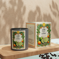 A08M Offre Spéciale Bougie cadeau en cire de soja parfumée au citron vert et aux agrumes avec couvercle en métal et étiquette personnalisée personnellement