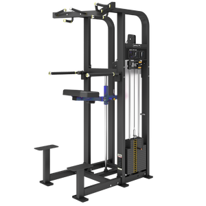 Appareil d'entraînement commercial tendance pour dips et tractions, idéal pour les clubs de fitness et le renforcement musculaire – Édition USA - Product Image 1