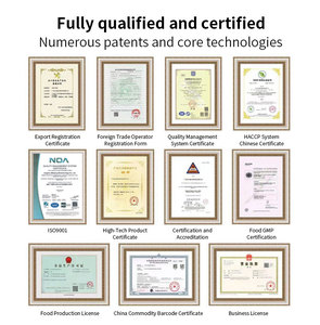 Patch analgésique Leech Source pour un soulagement rapide de la douleur, idéal pour les douleurs aux épaules, au cou, aux genoux, au dos et aux articulations - Product Image 5