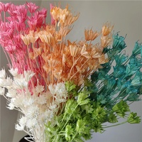 Fleurs d'anis étoilé séchées, style forêt, arrangement floral vintage, fait main, DIY, fleurs éternelles naturelles, style pastoral