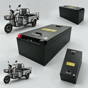แบตเตอรี่ LiFePO4 เกรด A 60V พร้อมระบบ BMS ในตัว 8 เซลล์ สำหรับรถสามล้อไฟฟ้า รถกอล์ฟ อุปกรณ์ในครัวเรือน และของเล่น - Product Image 2