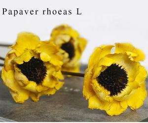 Fiore di Papavero Secco A-1098, Fiore Artificiale Essiccato per Decorazioni e Composizioni Floreali - Product Image 6