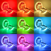 DC 12V 24V RGB CCT RGBCCT RGBW RGBWW lumière 5M 300LED SMD 5050 blanc chaud bleu couleur unique prix des bandes lumineuses LED flexibles