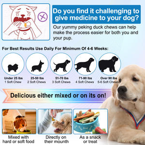 Oimmal 150 camilan lembut ekstrak tanaman labu <span class=keywords><strong>Gut</strong></span> kesehatan suplemen hewan peliharaan pereda alergi kunyah kulit gatal Relief untuk anjing - Product Image 2