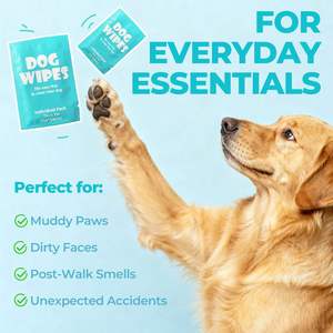 Lingettes pour animaux de compagnie emballées individuellement pour chiens et chiots, biodégradables, 10 lingettes jetables pour animaux de compagnie, lingettes humides pour le nettoyage - Product Image 3