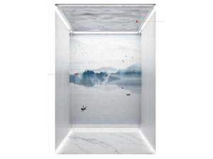 Volkslift 0017 Décoré <span class=keywords><strong>Maison</strong></span> Résidentielle Ascenseur Prix Pas Cher Ascenseurs pour Ascenseur À Domicile - Product Image 6