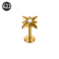 Piercing de mode en alliage de titane G23, design étoile octogonale incrustée de zircon, barre plate à filetage interne, pour oreille et lèvre