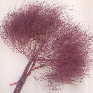 Hierba de Ensueño Preservada, Hierba Seca, 2-3 Piezas/Paquete, ETERNAL, 65-70 cm, Larga Duración, 3-5 Años, Ramo Natural para Manualidades, Centro de Mesa para Bodas - Product Image 5