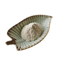 Vente en gros de poudre de chitosane de qualité supérieure CAS NO 9012-76-4 dans l'approvisionnement en vrac