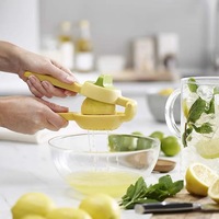 Citroen Limoen Squeezer Hand Juicer Citroen Squeezer - Max Extractie Handleiding Citrus Juicer