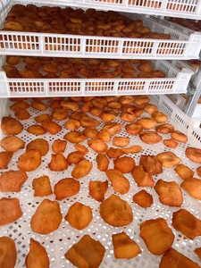 Aire caliente Circulación Combustible Gas Hami Melón Calabaza blanca Cilantro Limpieza Blanqueo y secado Línea de producción - Product Image 2