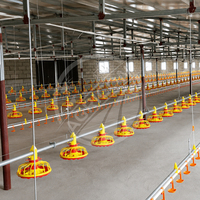 Nouveau système d'alimentation avicole entièrement automatique avec mangeoire à plat et abreuvoir à tétine, contrôlé par l'environnement, pour élevage de poulets de chair