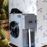 Mexicaanse bananen droogmachine warmtepomp fruitdehydrator voor plantain chips