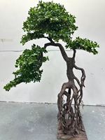 Pierre de jardin artificielle en forme de pin, plante décorative de style chinois pour hall d'entrée et sous les escaliers