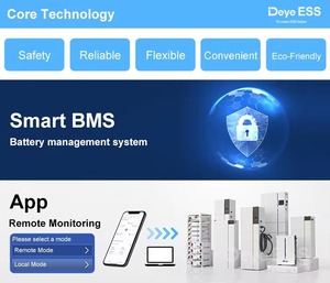   Bateria de Lítio Lifepo4 ESS RW-M6.1 Montada na Parede/Piso 48v à Prova d'Água com Proteção IP65 - Product Image 5