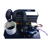 Mini-réfrigérateur de vaccins TIBO CS-0307, refroidisseur d'eau alimenté par moteur 12V/24V/48V et machine à crème glacée