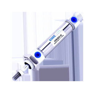 Cylindres miniatures en acier inoxydable personnalisés non standard CM2B/CDM2B25*25/50/100/125/150/175/200 Série - Product Image 3